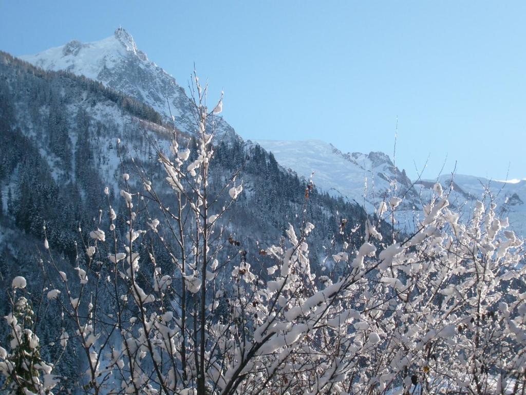 Appartement T2 Chamonix Centre Balcon Vue Mont Blanc Eksteriør billede